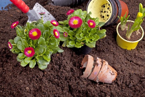 Gardening tools and landscaped outdoor area at the start of service terms
