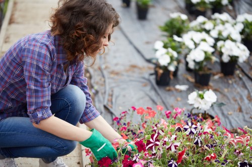 Garden waste and landscaping clearance in Chislehurst