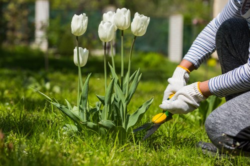 Customer raising a landscaping complaint for review