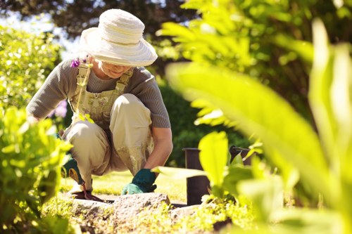 Decorative image placeholder representing accessible landscaping in Chislehurst