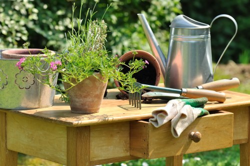 Soft landscaping planting beds and lawn work in a Chislehurst garden