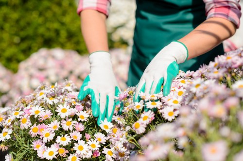 Decorative image placeholder for screen-reader-friendly landscaping website content