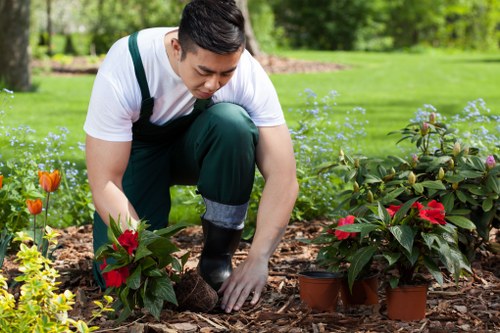 A before-and-after style view of a low-maintenance garden makeover suitable for family homes