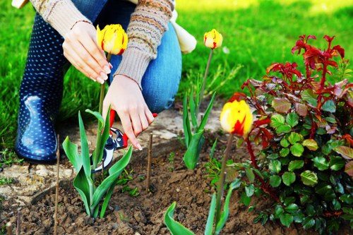 Supervisor checking safety procedures during a landscaping project