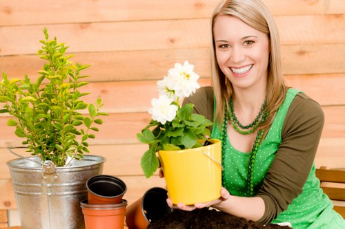 Decorative image placeholder showing inclusive garden service content