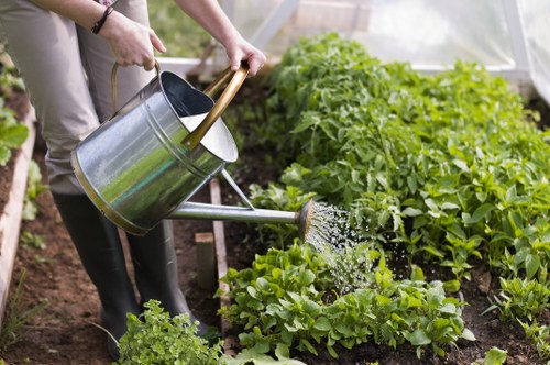 Local transfer station handling green waste and hard materials